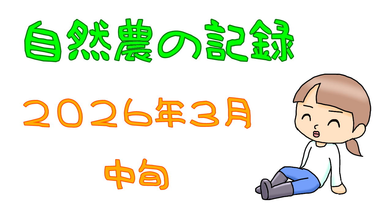 2026年3月中旬
