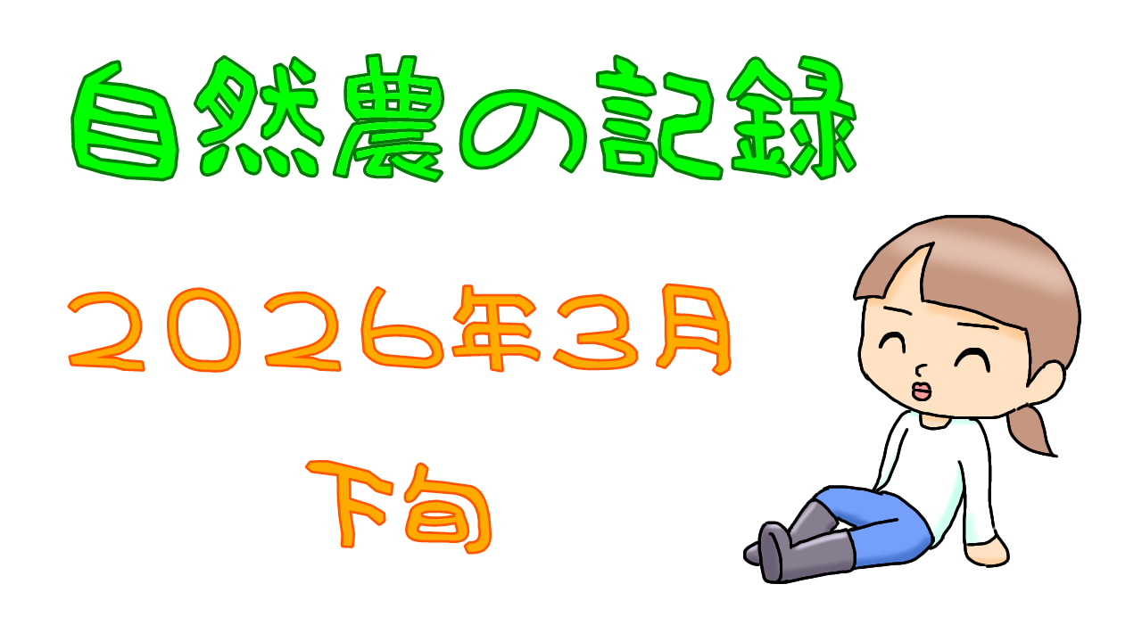 2026年3月下旬