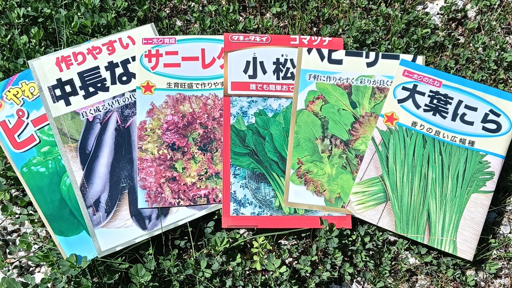 今回の選手たち