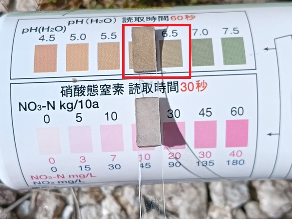 pH 結果