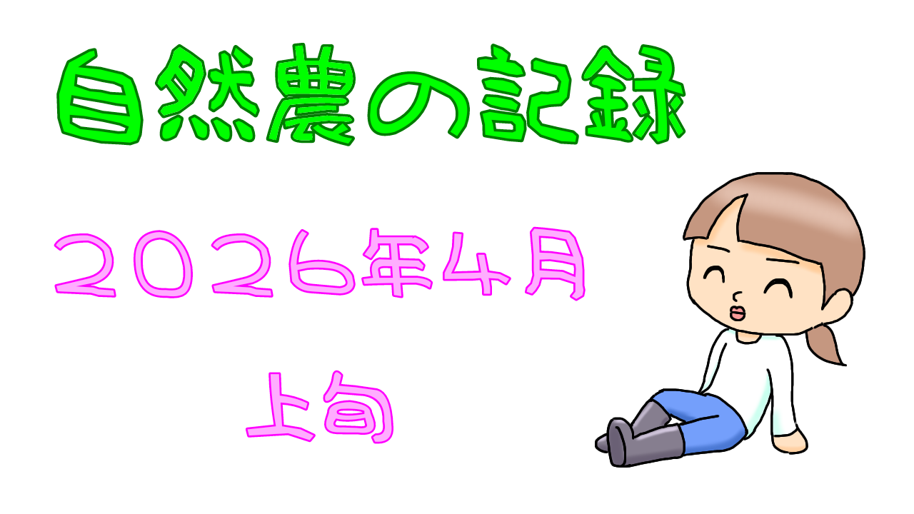 2026年4月上旬
