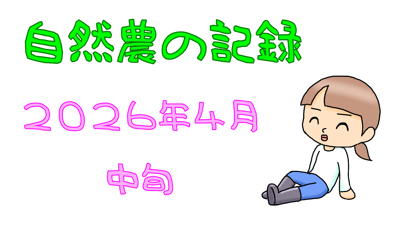 2026年4月中旬