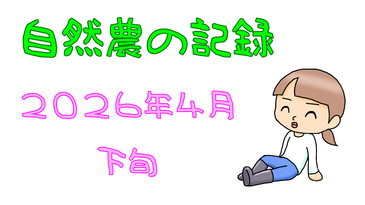 2026年4月下旬