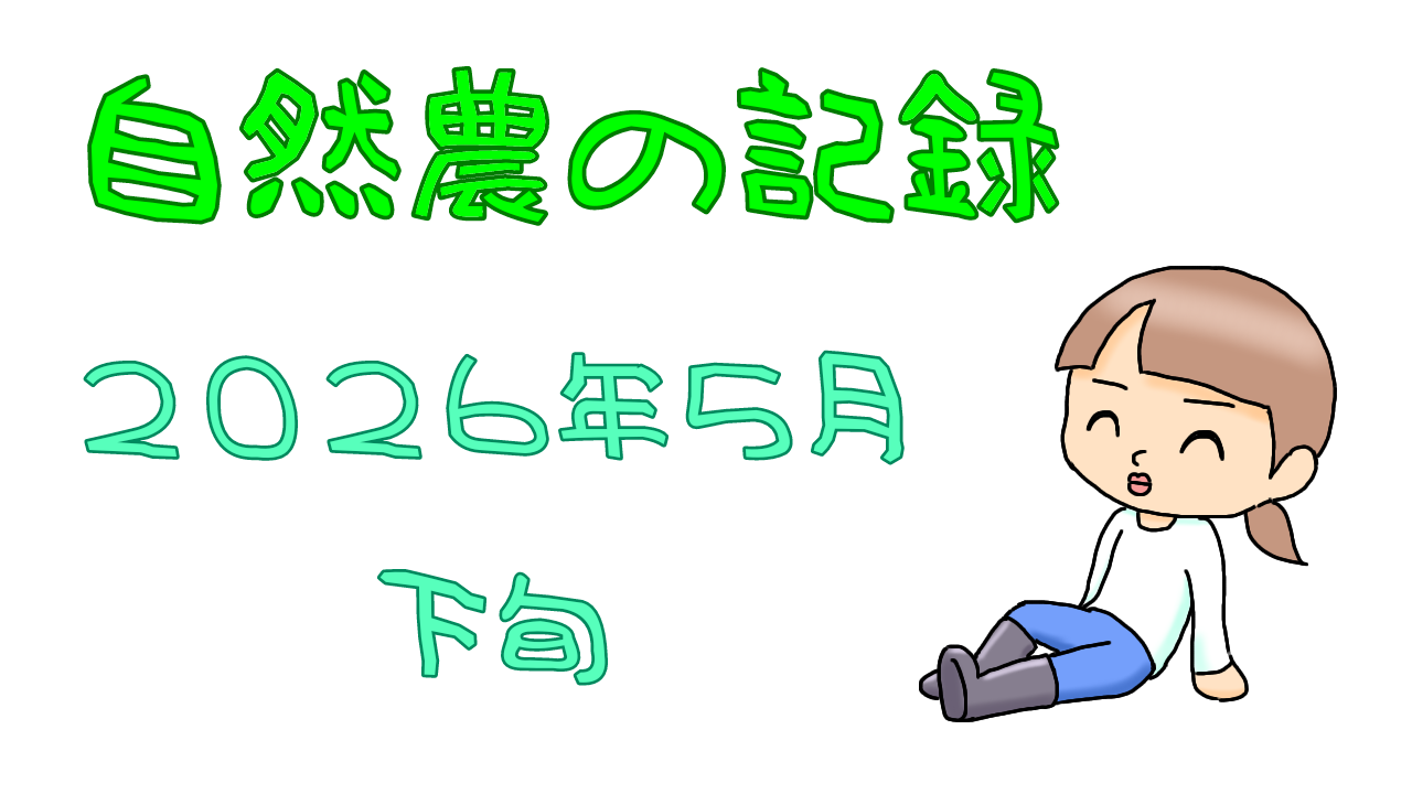 2026年5月下旬