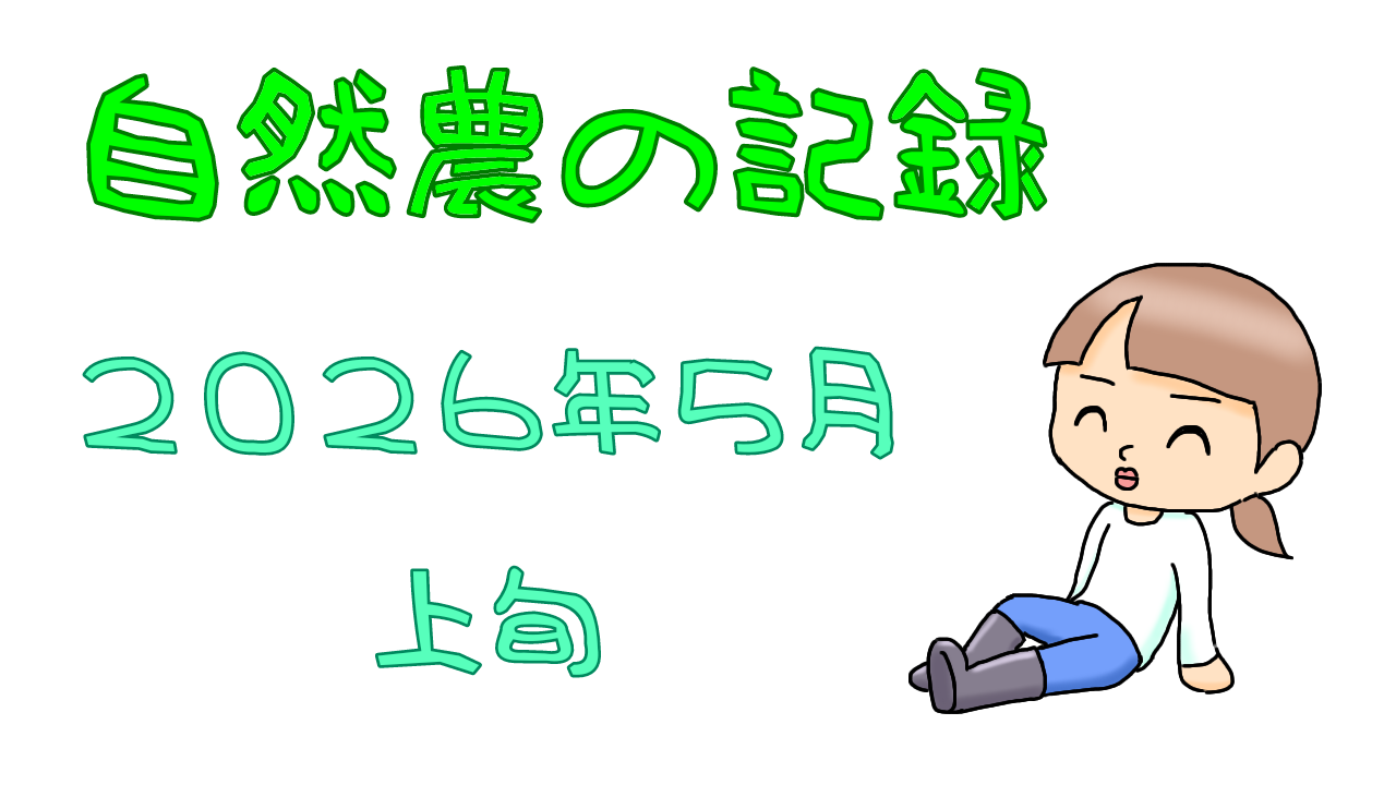 2026年5月上旬