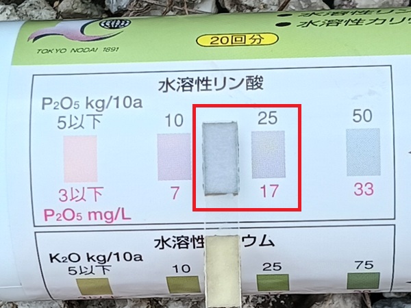 土壌検査 ベッチなし リン 2026.6中旬