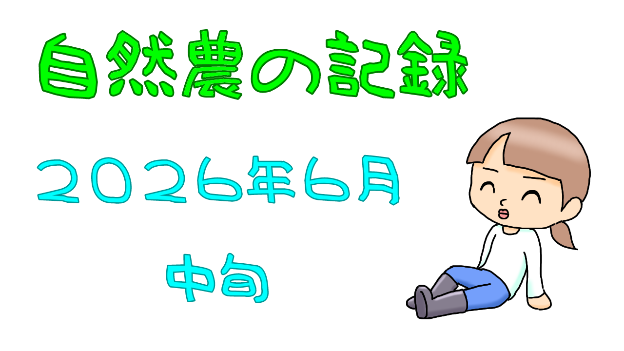 2026年6月中旬