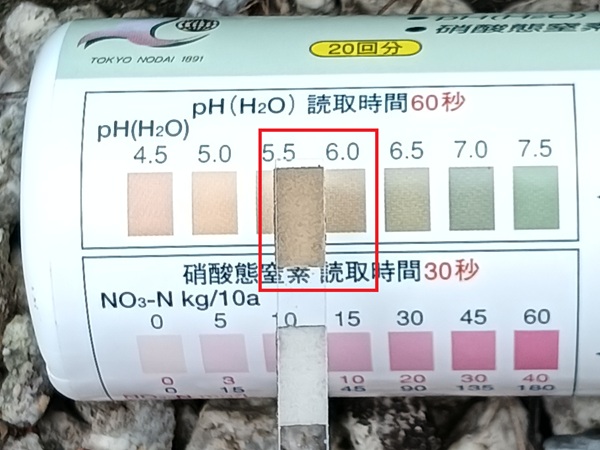 土壌検査 ベッチなし pH 2026.6中旬