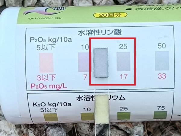 土壌検査 ベッチあり リン 2026.6中旬