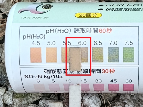 土壌検査 ベッチあり pH 2026.6中旬