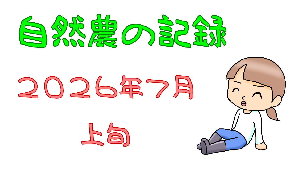 2026年7月上旬