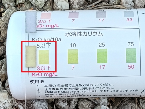 土壌検査 ベッチあり カリ 2026.6中旬