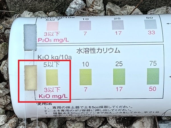 土壌検査 ベッチなし カリ 2026.6中旬