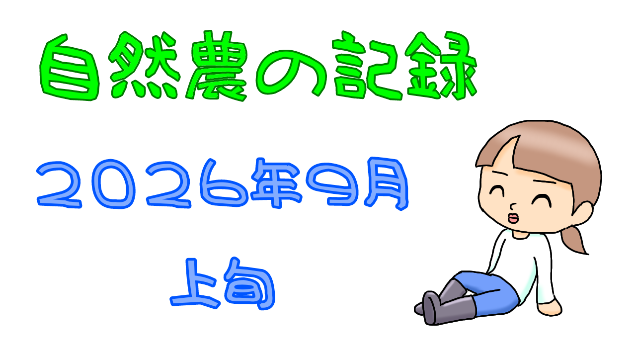 2026年9月1